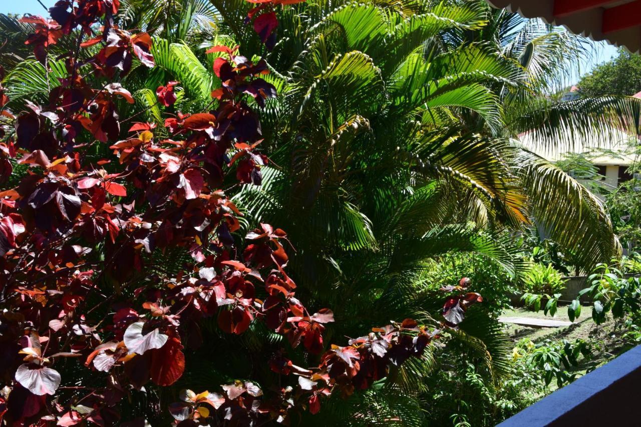 Jardin Sur Mer Terre-De-Haut Eksteriør billede